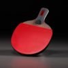 XIAOMI Professional Table Tennis Racket Lightweight Ping Pong Paddle Bat High Elastic Sponge Pure Wood Floor Comfortable Handle