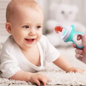 Baby Food Fruit Feeder 2 Pieces