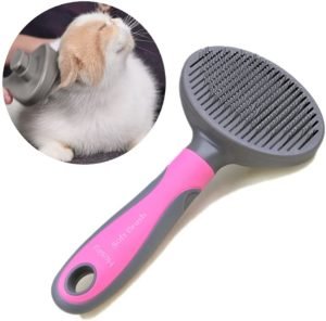 Cat Brush