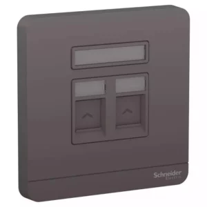 Schneider AvatarOn, wallplate for 2 keystone RJ45, Dark grey E8332RJS_DG