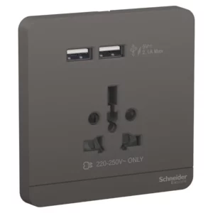 Schneider AvatarOn, USB charger + 2 socket-outlet, 2P, 16A, Dark Grey E8342616USB_DG