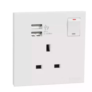 Schneider 13A 1G Sw Soc w_ 2.1A 2 port USB, WE E8715USB_WE