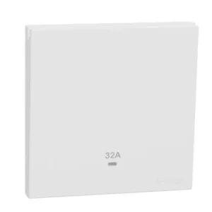 Schneider 32A 250V 1G DP w_ LED WE E8731D32N_WE