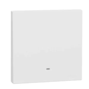 Schneider 16AX 250V 1G 1W SW w_ FL WE E8731L1F_WE