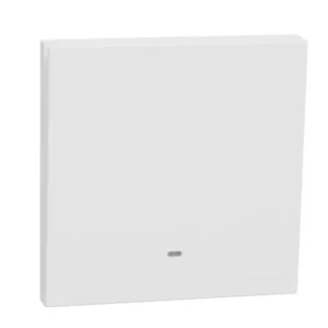 Schneider 10A 250V 1G momentary SW w_ FL WE E8731PRF_WE