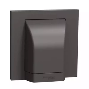 Schneider 45A 250V 1G CNN U. DG E87554_DG