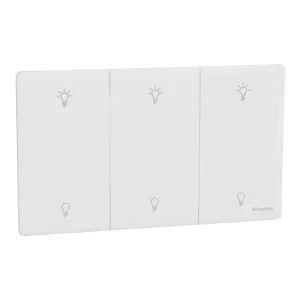 Schneider NUX33RUD250_PW